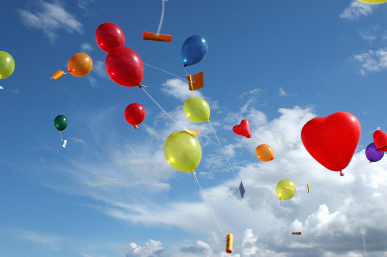 �����񍐎ʐ^