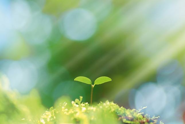 �����񍐎ʐ^