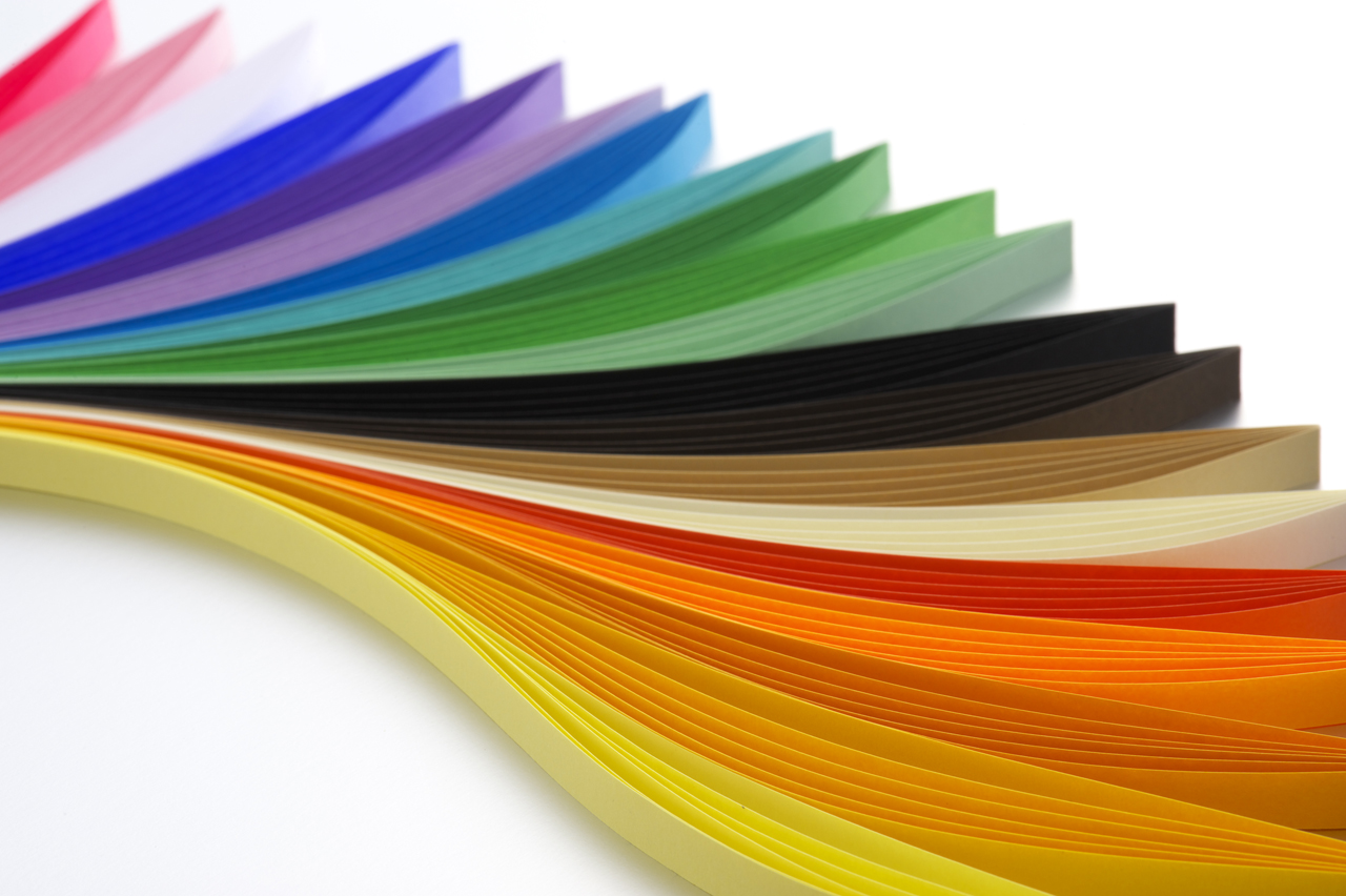 �����񍐎ʐ^