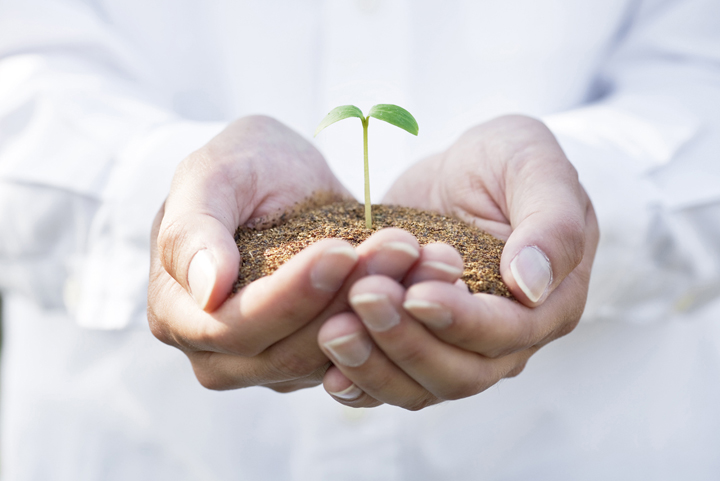 �����񍐎ʐ^